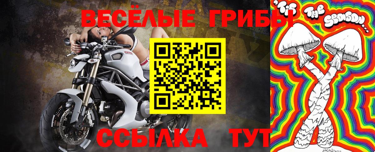 Псилоцибиновые грибы прущие грибы  Вход с VPN  Туймазы 